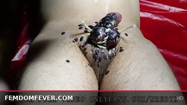 Mistress Redix Dominates with Ballbusting CBT While Painting Easter Eggs with Wax Femdom BDSM