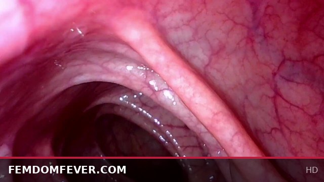 Experience the intense pleasure of peering deep inside my descending colon exploration