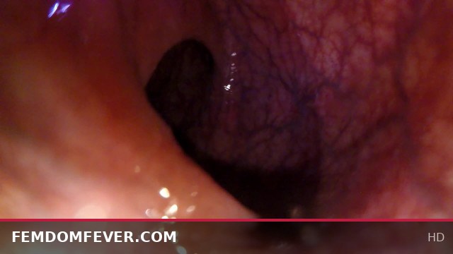 Swallowed Deep at the Tip of My Transverse Cock